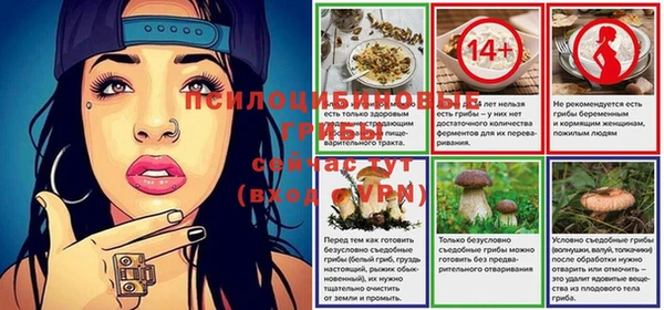 трава Верея